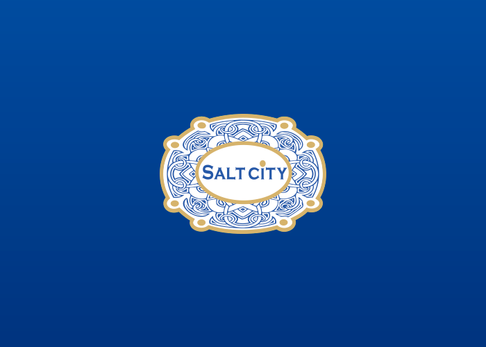 SaltCity